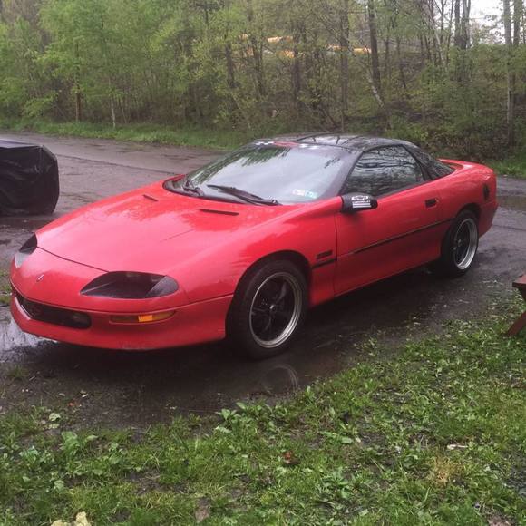 Meet your Posher, Michael - Picture 1 of 1